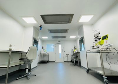 cell-gene-therapy-grade-c-cleanroom