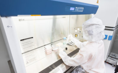 ULPA vs. HEPA Filters for Cell & Gene Therapy Cleanrooms