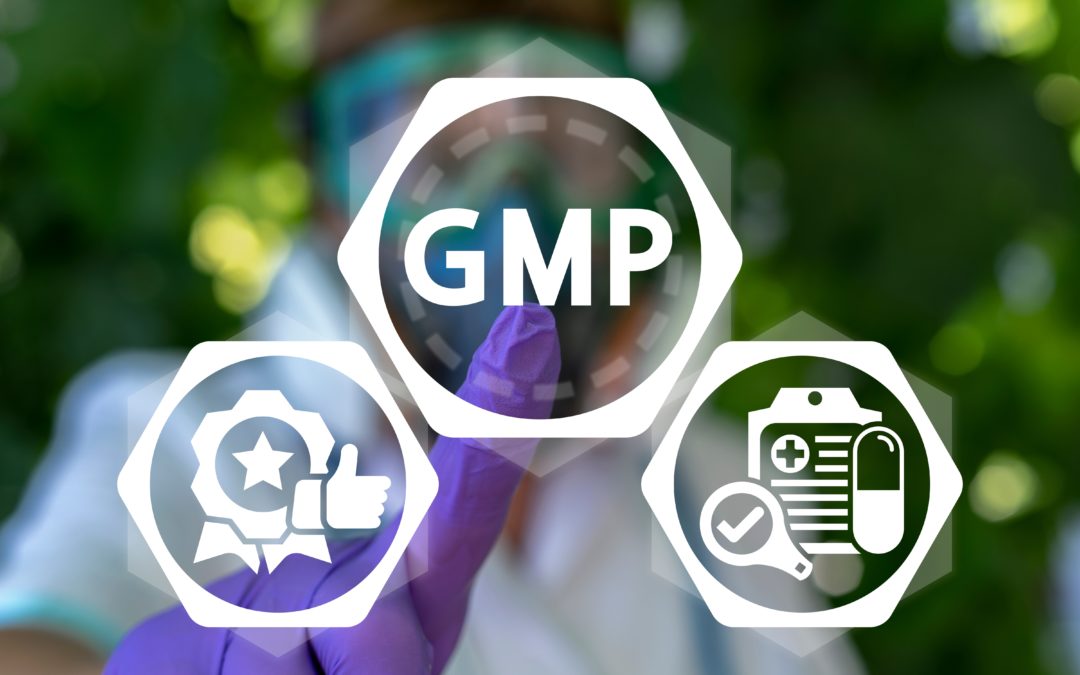 GMP qualification and validation processes